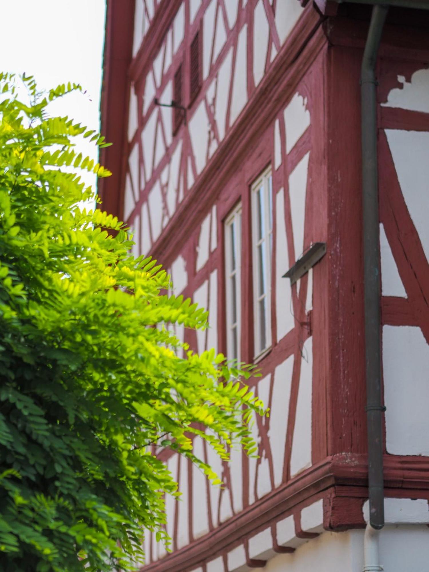 Weinstrasse No 8 "Einfach-Gut-Uebernachten" Leinsweiler Eksteriør bilde